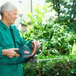 Potatura delle siepi: 8 cose da sapere