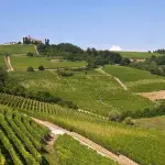 Le Langhe: caratteristiche, storia e vini da assaporare nella regione