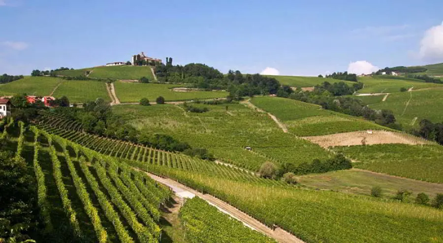 Le Langhe: caratteristiche, storia e vini da assaporare nella regione