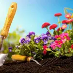 Migliori attrezzi per il giardinaggio: quali sono e come sceglierli