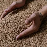 Proprietà del farro: valori nutrizionali e benefici