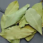 Proprietà dell'alloro: usi in cucina e tisana