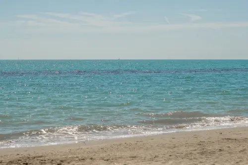 Fossa delle Marianne: i segreti del fondo oceanico