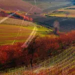 I migliori vini delle Langhe: guida per gli amanti del vino