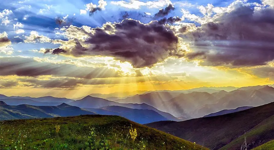 Microrganismi Effettivi: utilizzi infiniti nel rispetto dell’ambiente