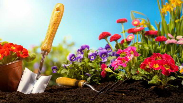 Migliori attrezzi per il giardinaggio