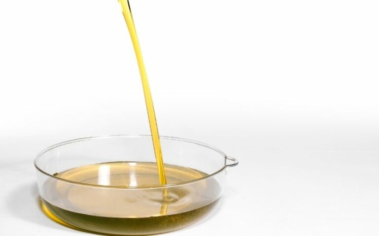 come degustare l'olio extravergine di oliva foto